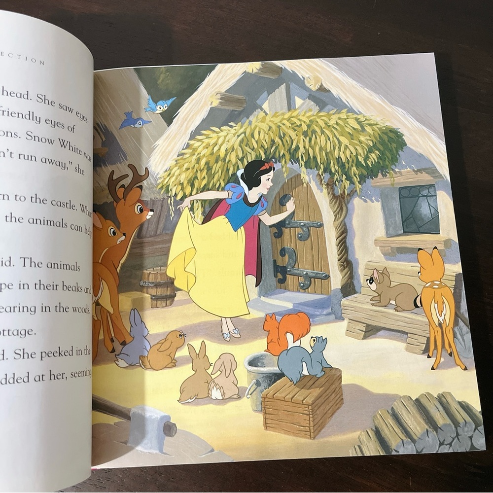 Disney Princess Story Collection - Picture 6 of 10